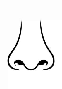 Desenho de Nariz Desenho Colorir Imprimir 17