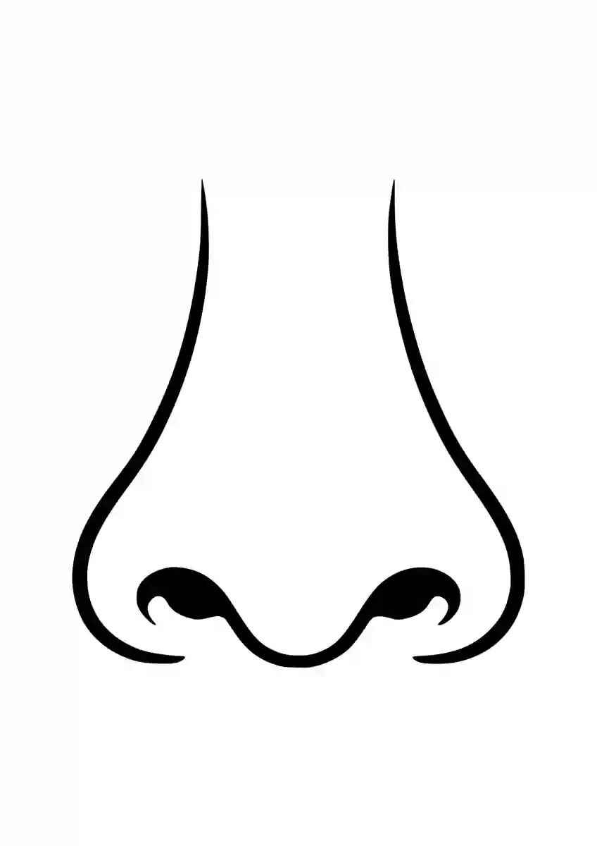 Desenho de Nariz Desenho Colorir Imprimir 17