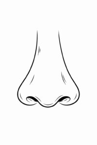 Desenho de Nariz Desenho Colorir Imprimir 18