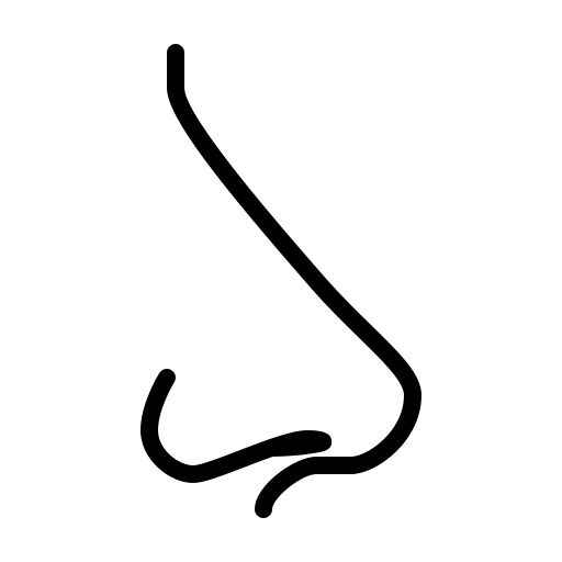 Desenho de Nariz Desenho Colorir Imprimir 19