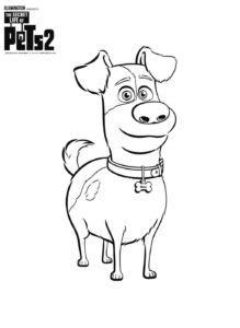 Desenho de Pets Desenho Colorir Imprimir 01