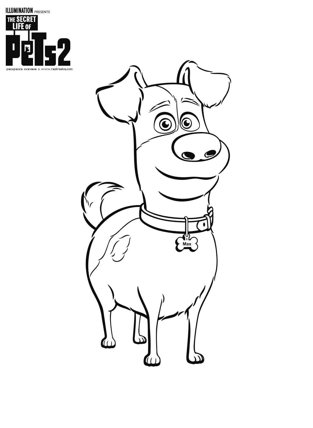 Desenho de Pets Desenho Colorir Imprimir 01