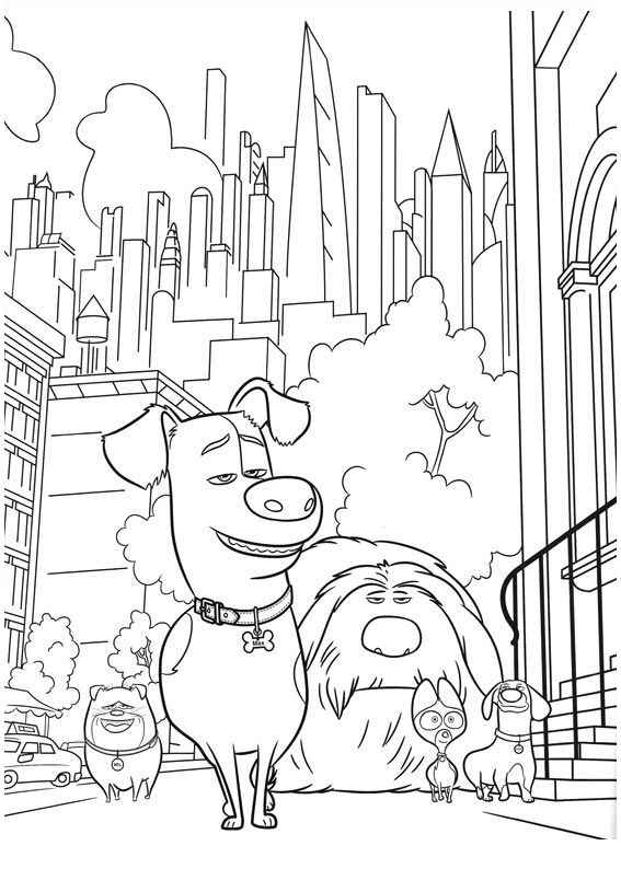 Desenho de Pets Desenho Colorir Imprimir 02