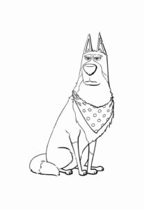 Desenho de Pets Desenho Colorir Imprimir 11