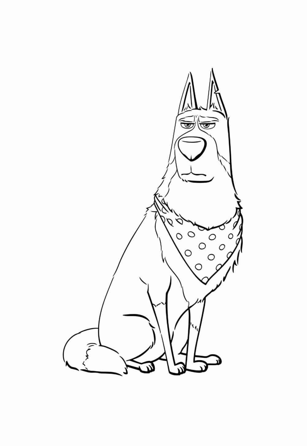 Desenho de Pets Desenho Colorir Imprimir 11