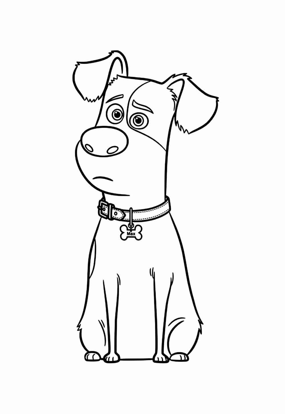 Desenho de Pets Desenho Colorir Imprimir 13