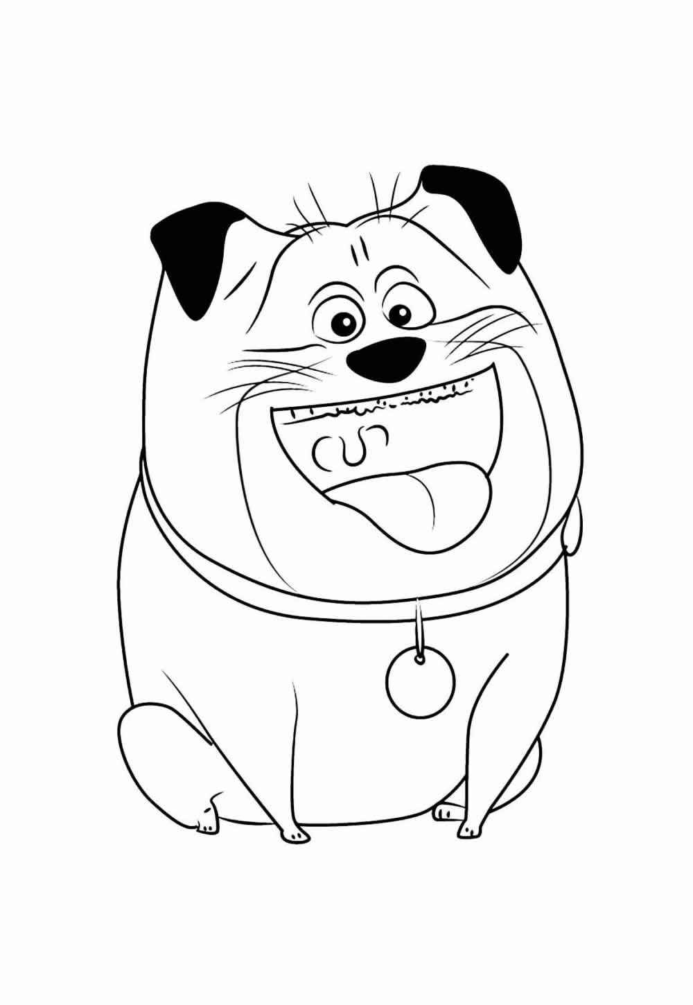 Desenho de Pets Desenho Colorir Imprimir 15