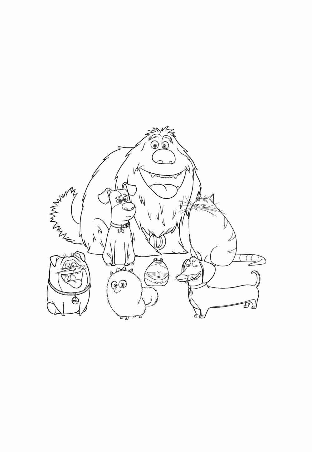 Desenho de Pets Desenho Colorir Imprimir 16