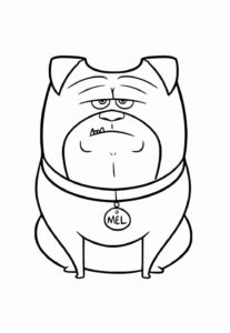 Desenho de Pets Desenho Colorir Imprimir 19