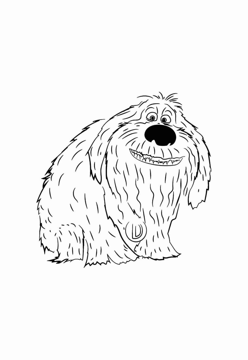 Desenho de Pets Desenho Colorir Imprimir 23