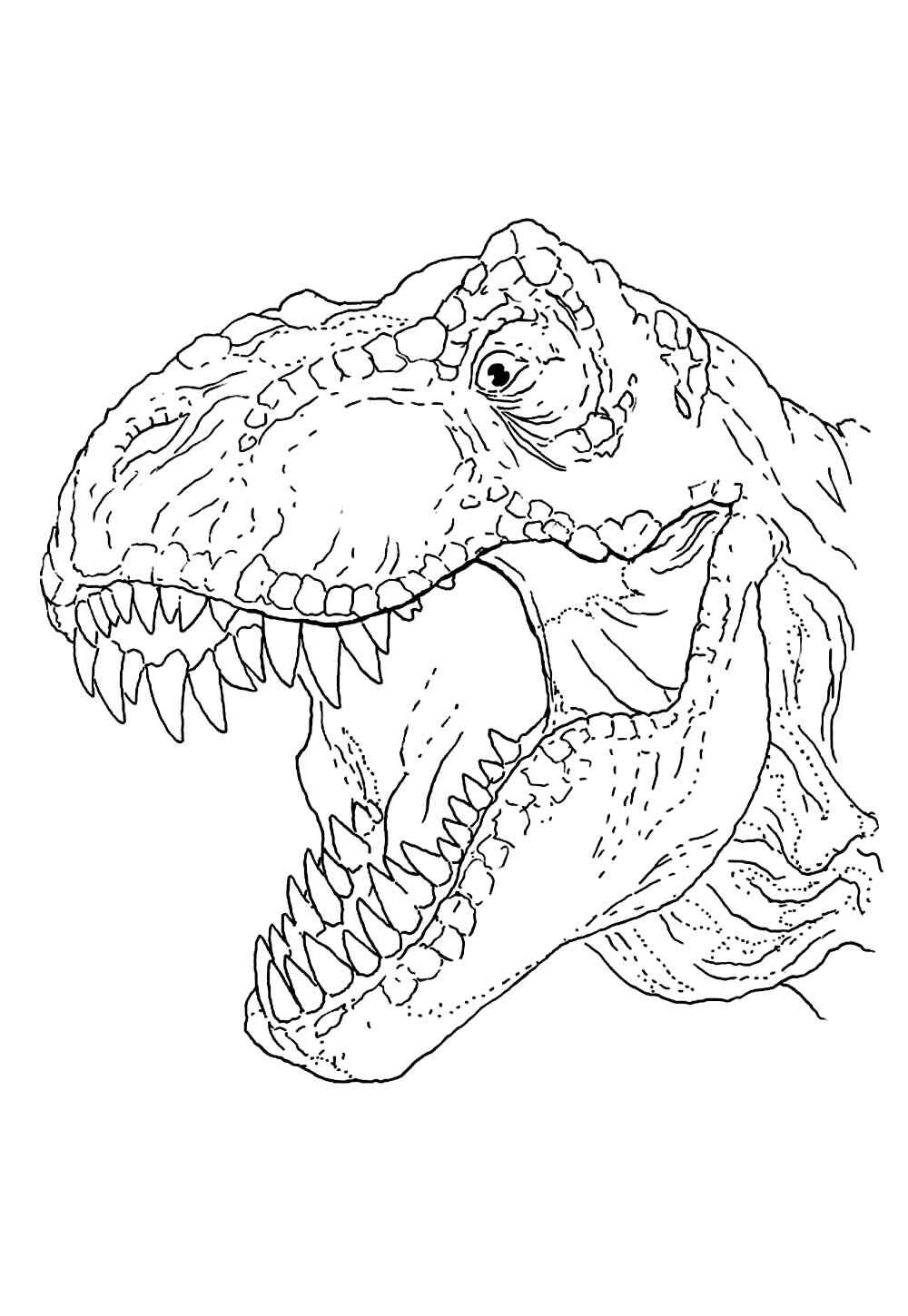 Desenho de T Rex Desenho Colorir Imprimir 14