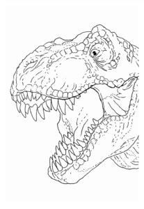 Desenho de T Rex Desenho Colorir Imprimir 19