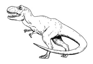Desenho de T Rex Desenho Colorir Imprimir 22
