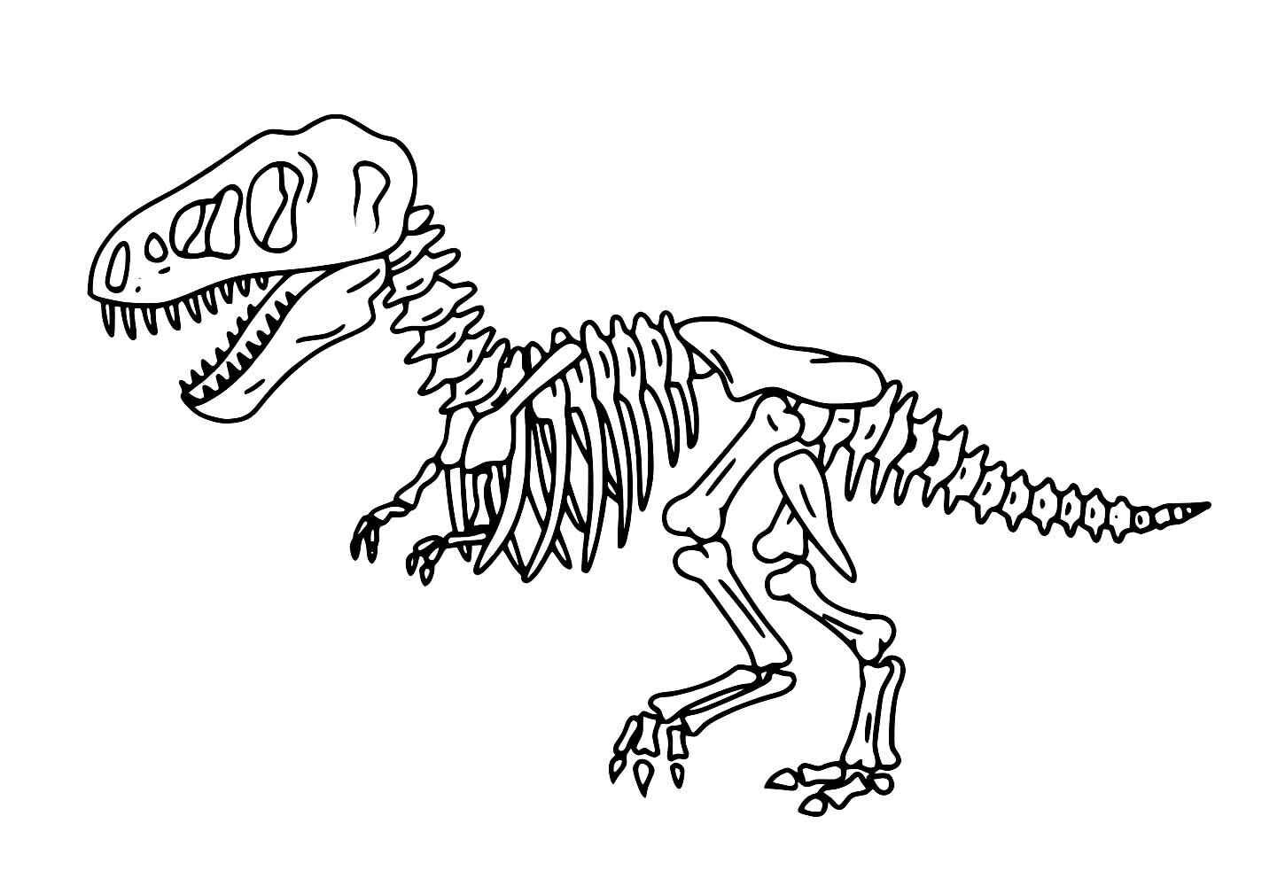 Desenho de T Rex Desenho Colorir Imprimir 31