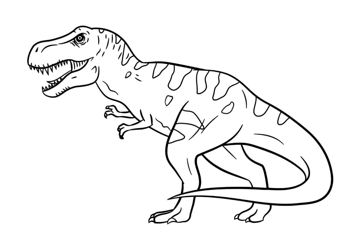 Desenho de T Rex Desenho Colorir Imprimir 32