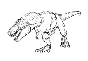 Desenho de T Rex Desenho Colorir Imprimir 34