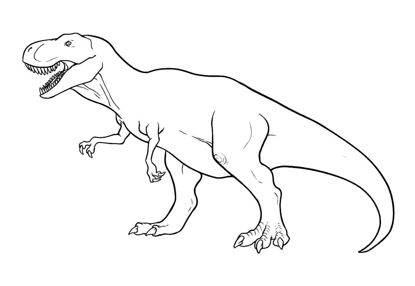 Desenho de T Rex Desenho Colorir Imprimir 41
