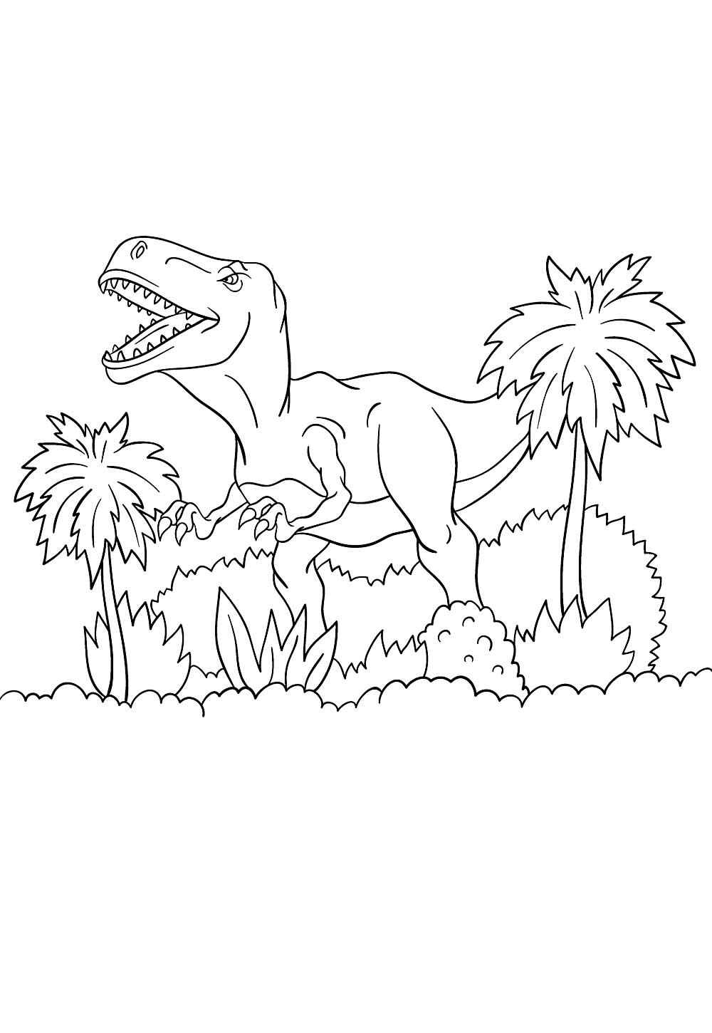 Desenho de T Rex Desenho Colorir Imprimir 43