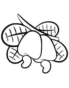Desenho de Caju Desenho Colorir Imprimir 02