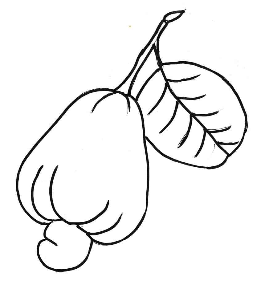 Desenho de Caju Desenho Colorir Imprimir 09