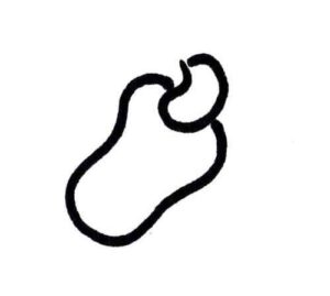 Desenho de Caju Desenho Colorir Imprimir 10