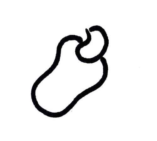 Desenho de Caju Desenho Colorir Imprimir 10