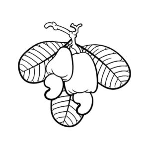 Desenho de Caju Desenho Colorir Imprimir 11