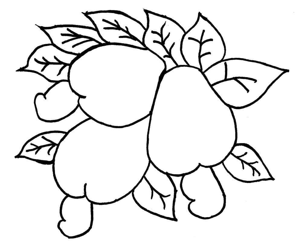 Desenho de Caju Desenho Colorir Imprimir 13