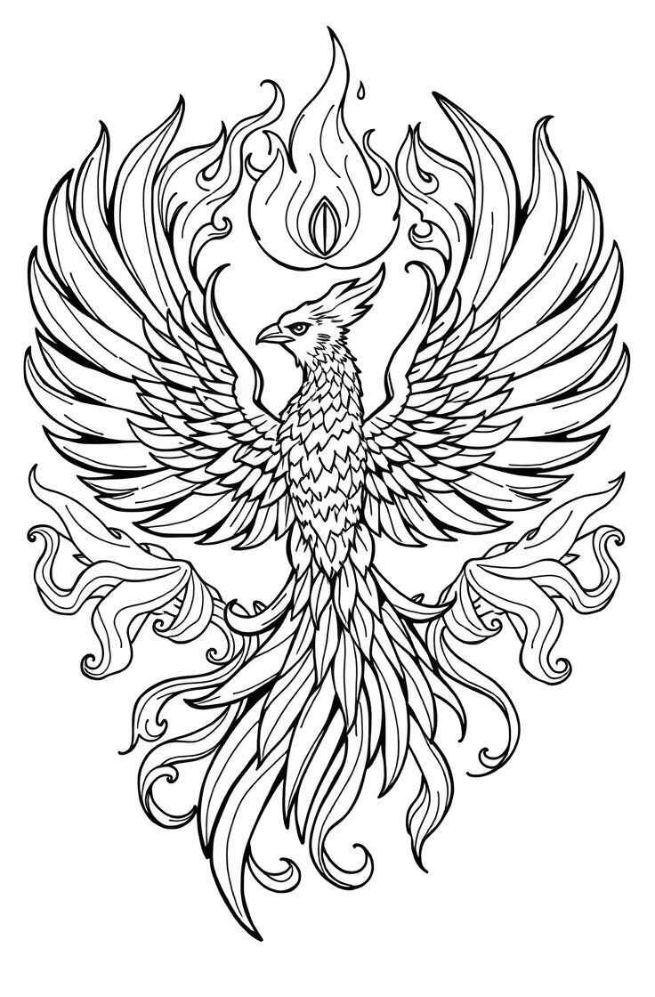 Desenho de Fenix Desenho Colorir Imprimir 11