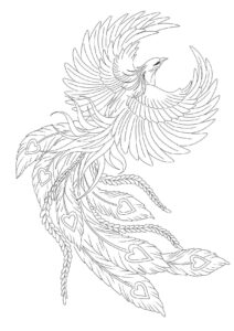 Desenho de Fenix Desenho Colorir Imprimir 13