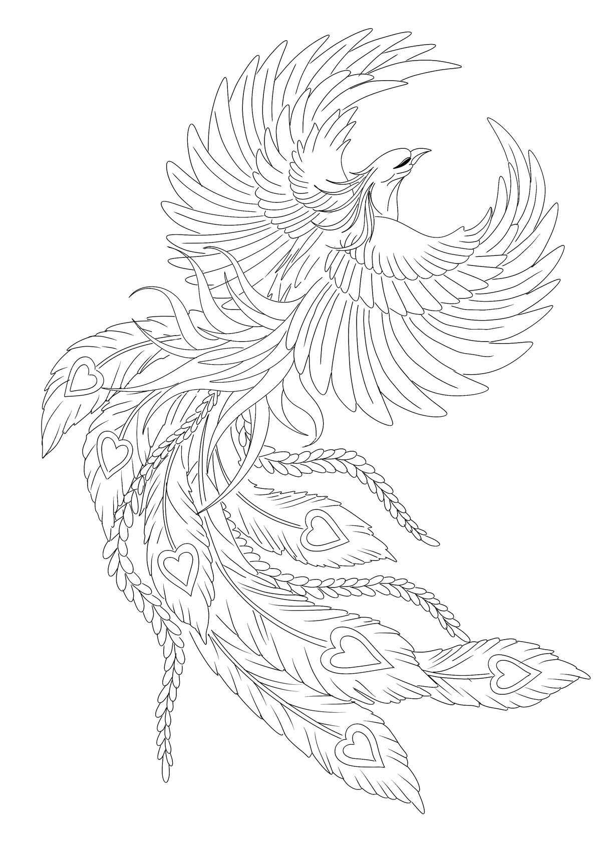 Desenho de Fenix Desenho Colorir Imprimir 13