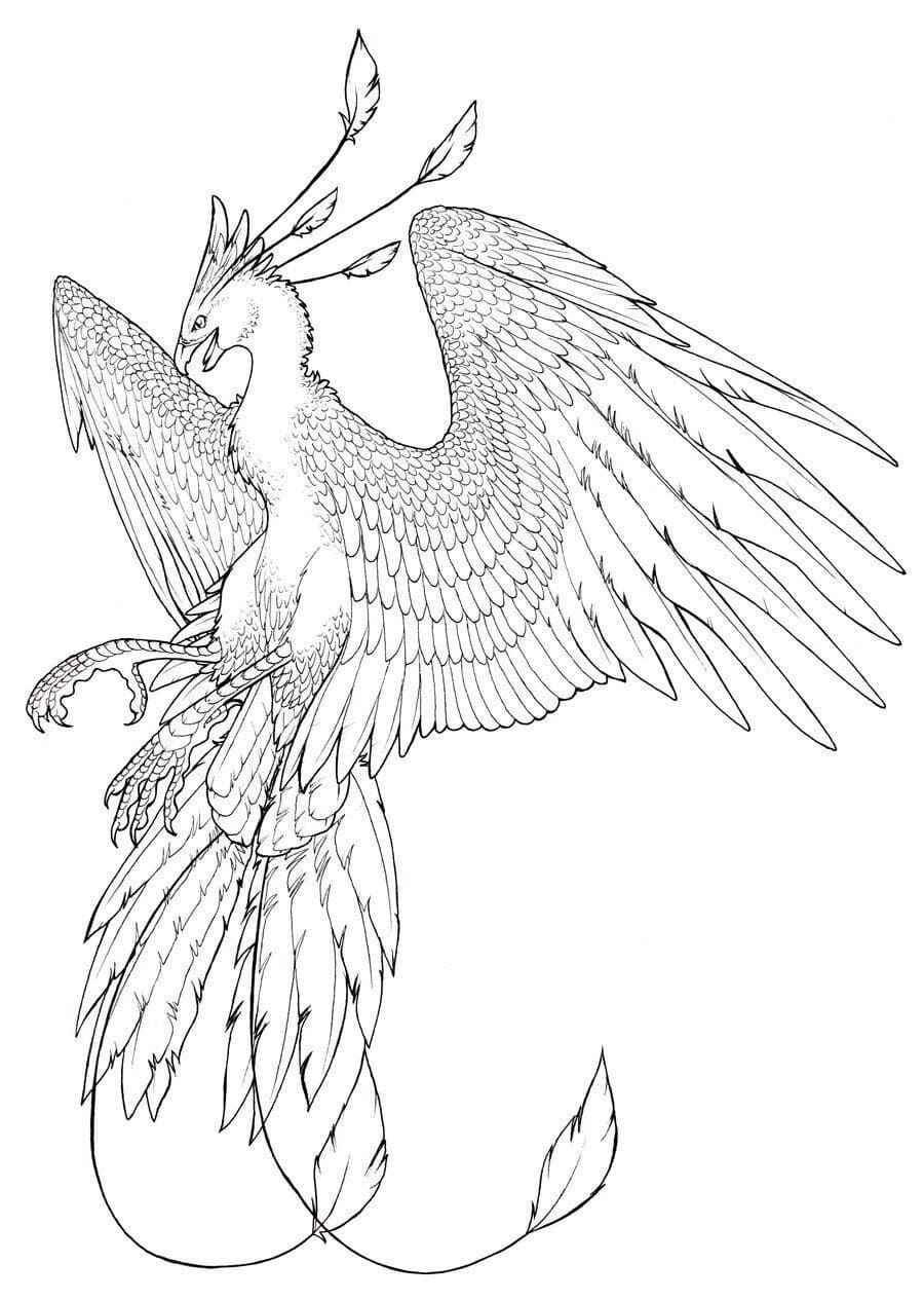 Desenho de Fenix Desenho Colorir Imprimir 21