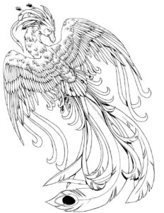 Desenho de Fenix Desenho Colorir Imprimir 24