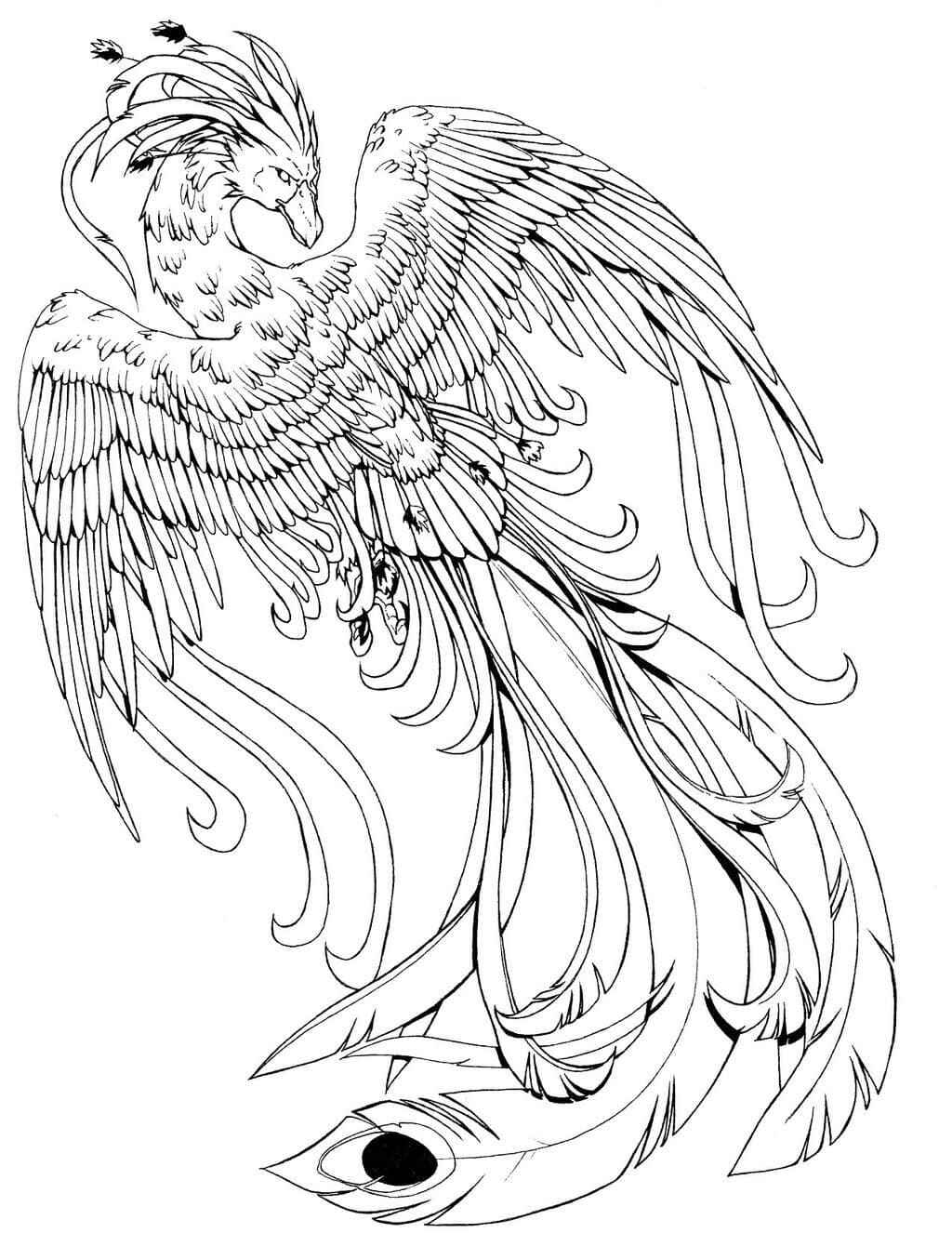 Desenho de Fenix Desenho Colorir Imprimir 24