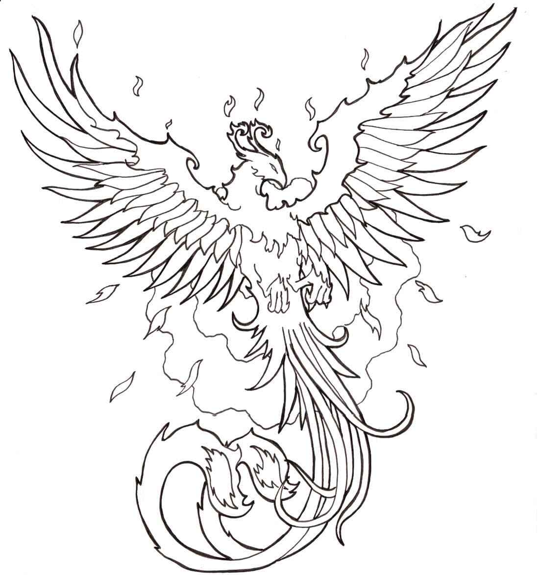 Desenho de Fenix Desenho Colorir Imprimir 25