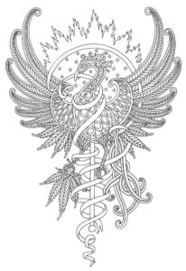 Desenho de Fenix Desenho Colorir Imprimir 26