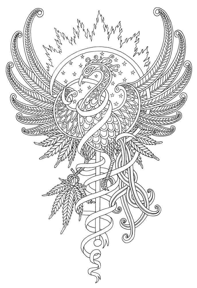 Desenho de Fenix Desenho Colorir Imprimir 26