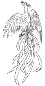 Desenho de Fenix Desenho Colorir Imprimir 27