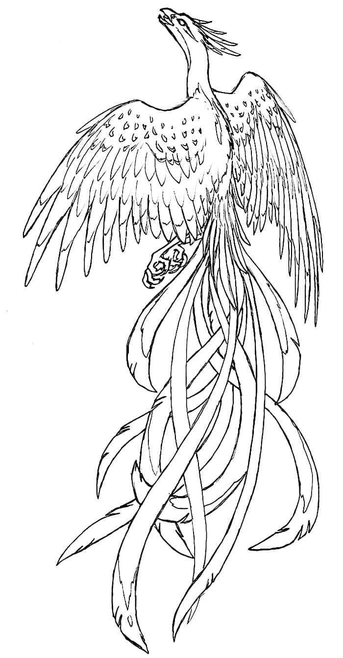 Desenho de Fenix Desenho Colorir Imprimir 27