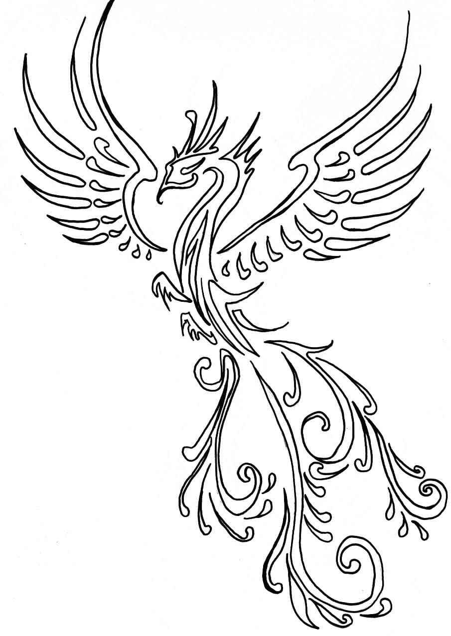 Desenho de Fenix Desenho Colorir Imprimir 28