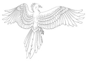 Desenho de Fenix Desenho Colorir Imprimir 32