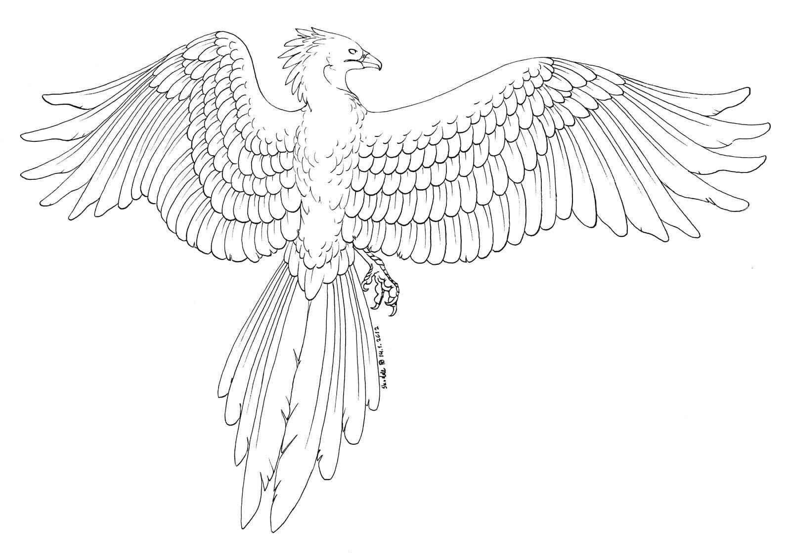 Desenho de Fenix Desenho Colorir Imprimir 32