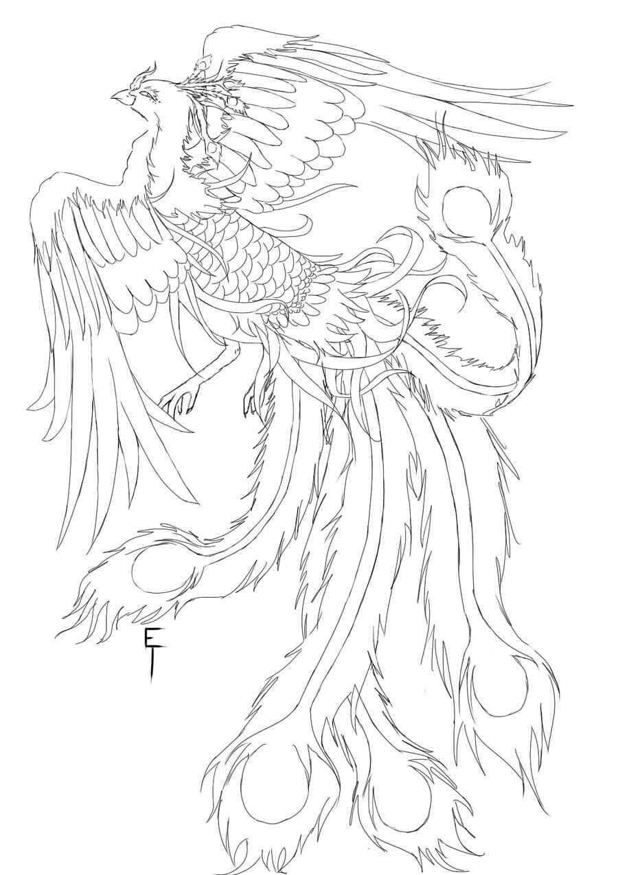 Desenho de Fenix Desenho Colorir Imprimir 33