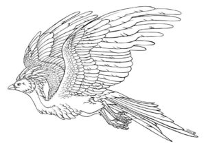 Desenho de Fenix Desenho Colorir Imprimir 34