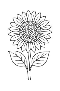 Desenho de Girassol Desenho Colorir Imprimir 02