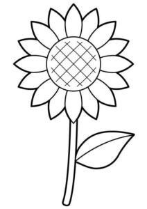 Desenho de Girassol Desenho Colorir Imprimir 08