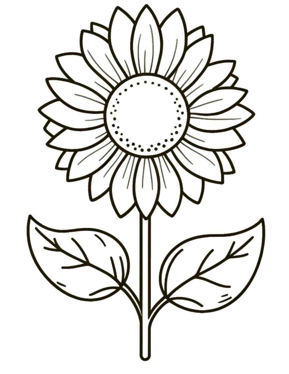 Desenho de Girassol Desenho Colorir Imprimir 09