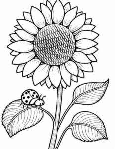 Desenho de Girassol Desenho Colorir Imprimir 12