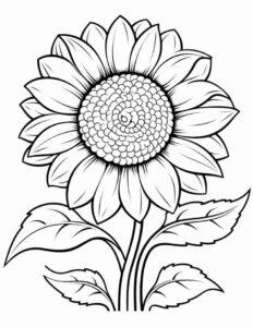 Desenho de Girassol Desenho Colorir Imprimir 14