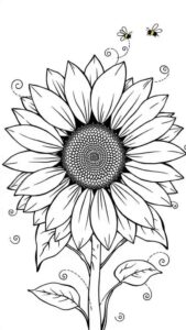 Desenho de Girassol Desenho Colorir Imprimir 16